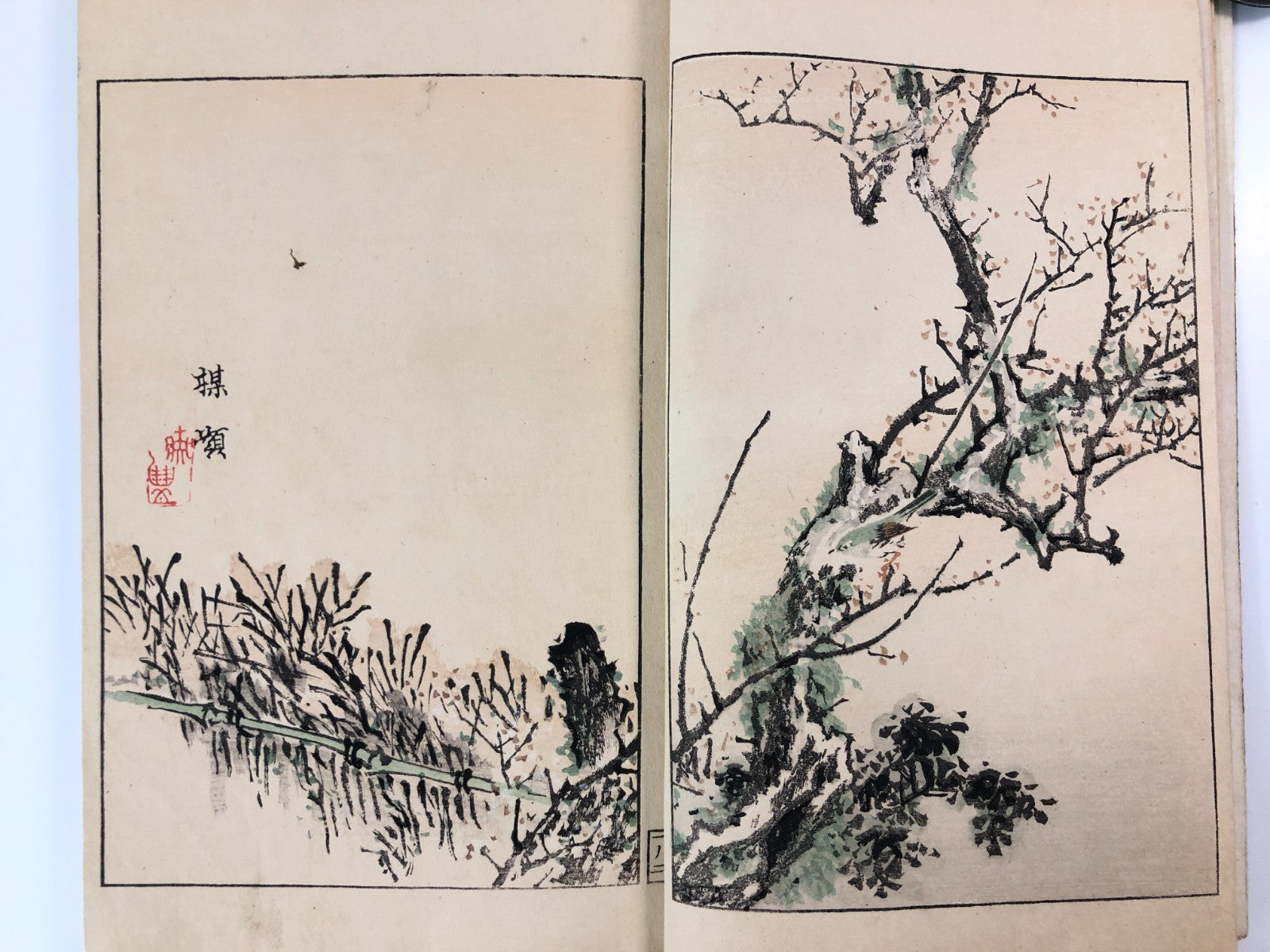 Image #19