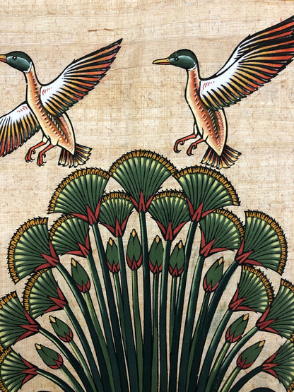 Image #22