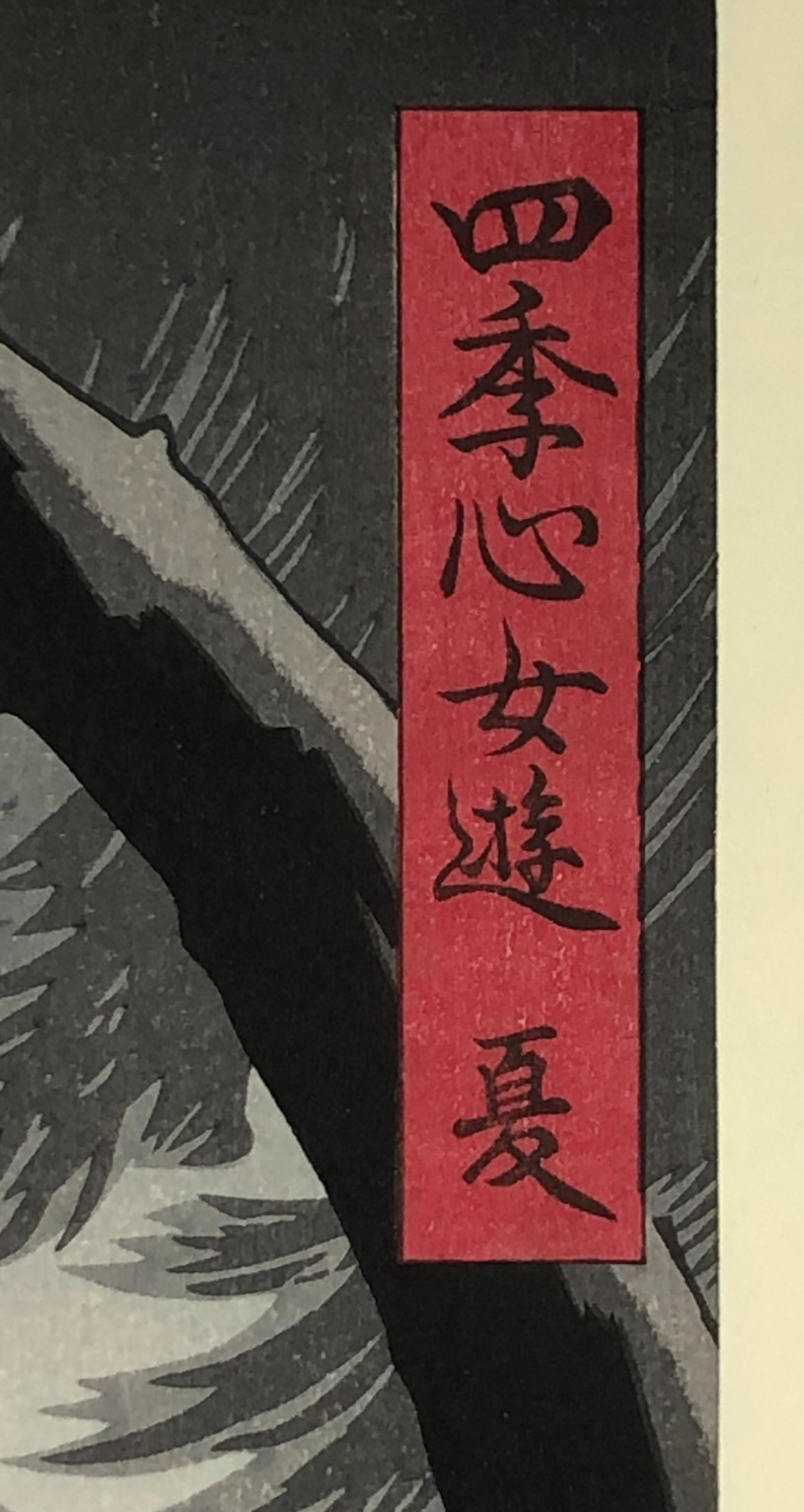 Image #17
