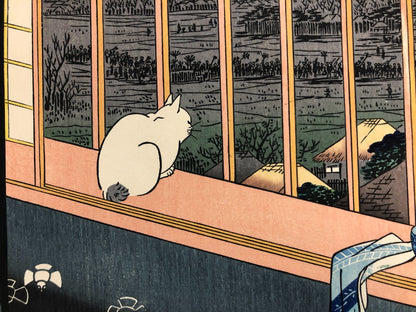 Image #7