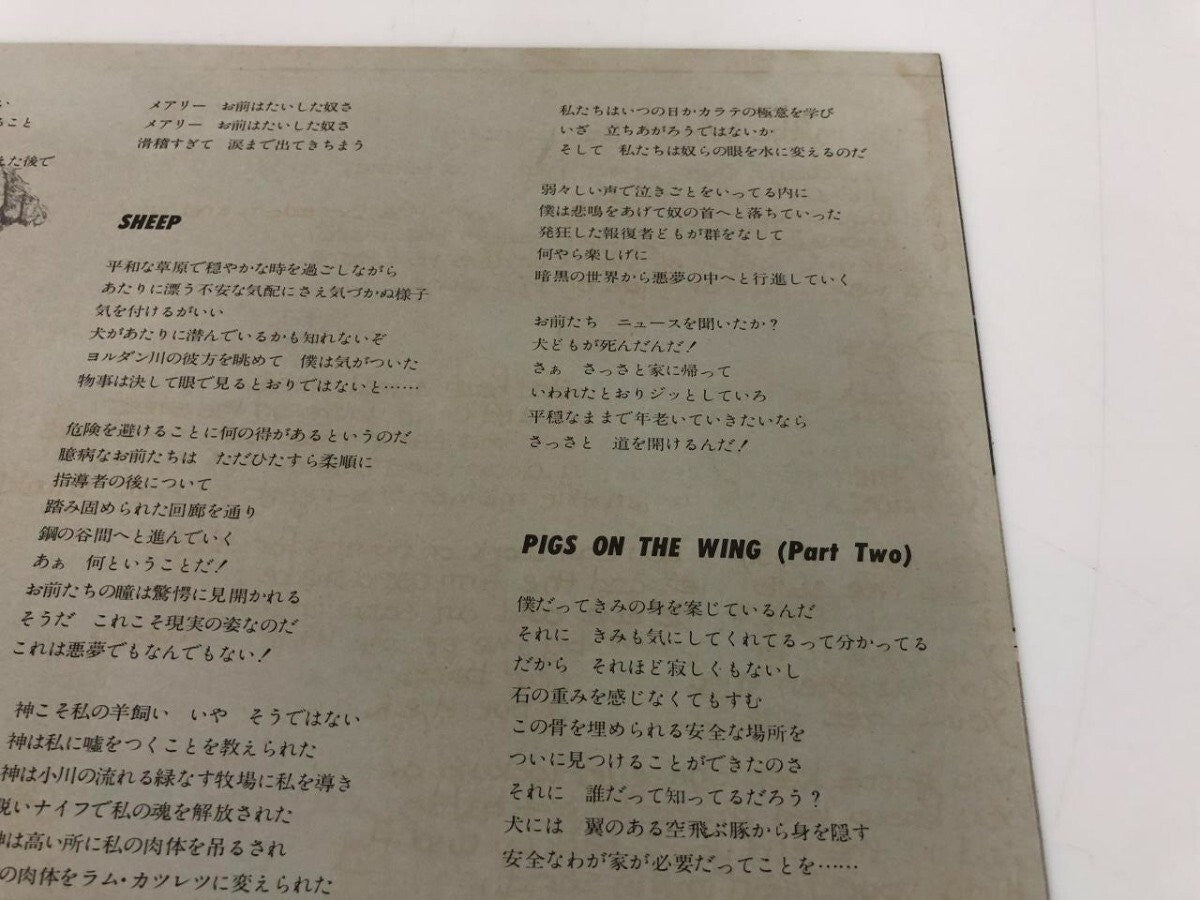 Image #10