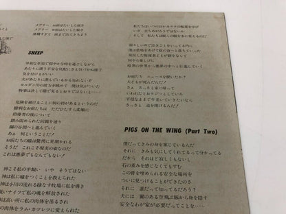 Image #10