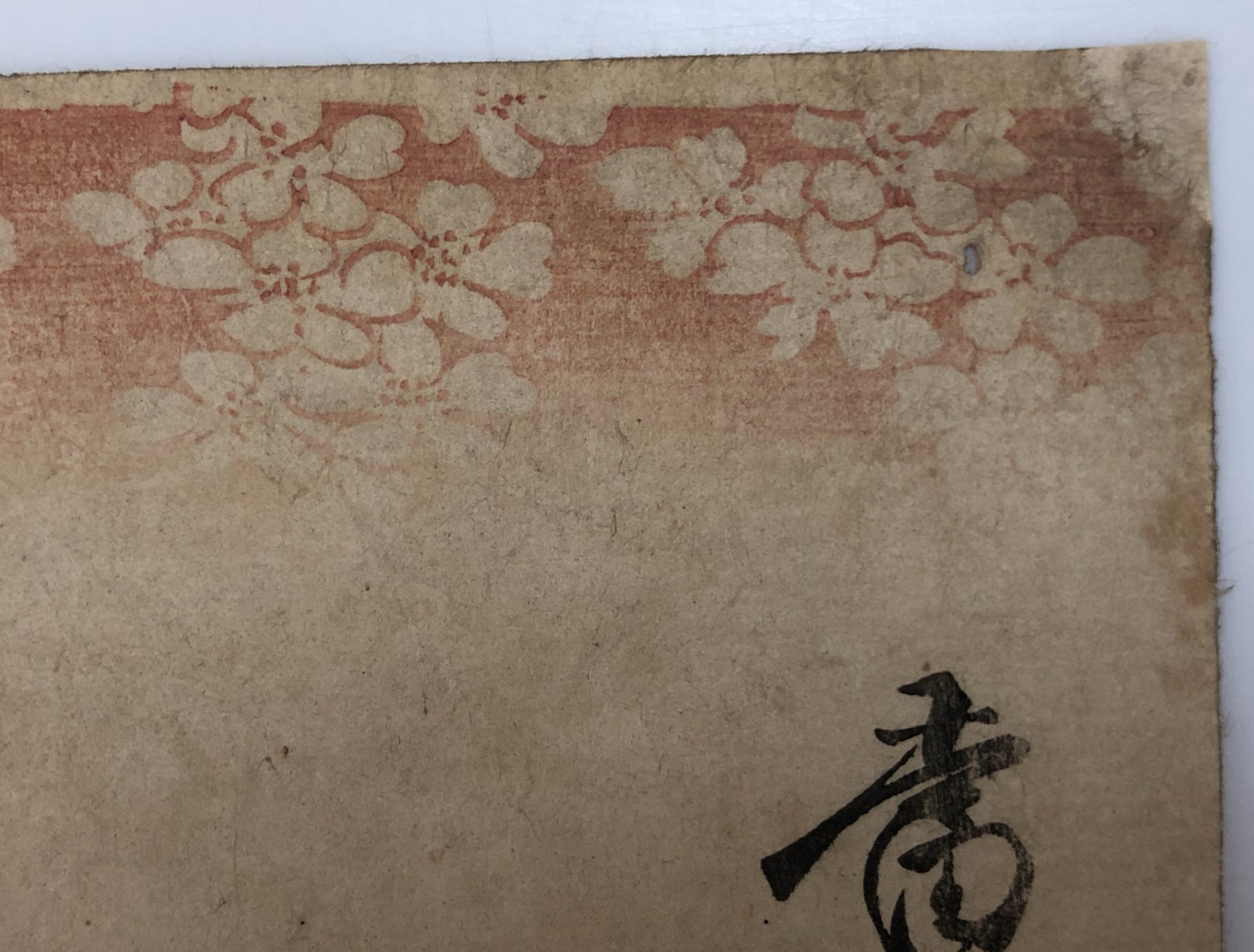 Image #12