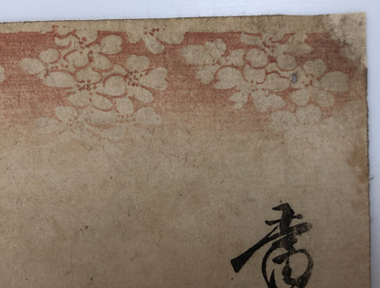 Image #12
