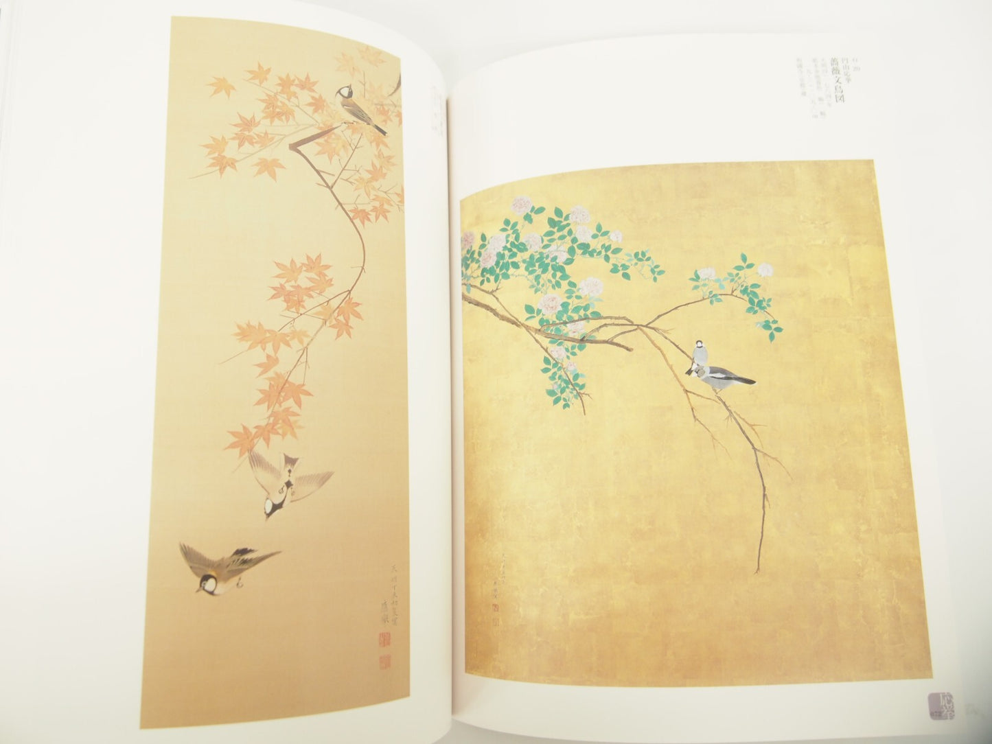 Image #5