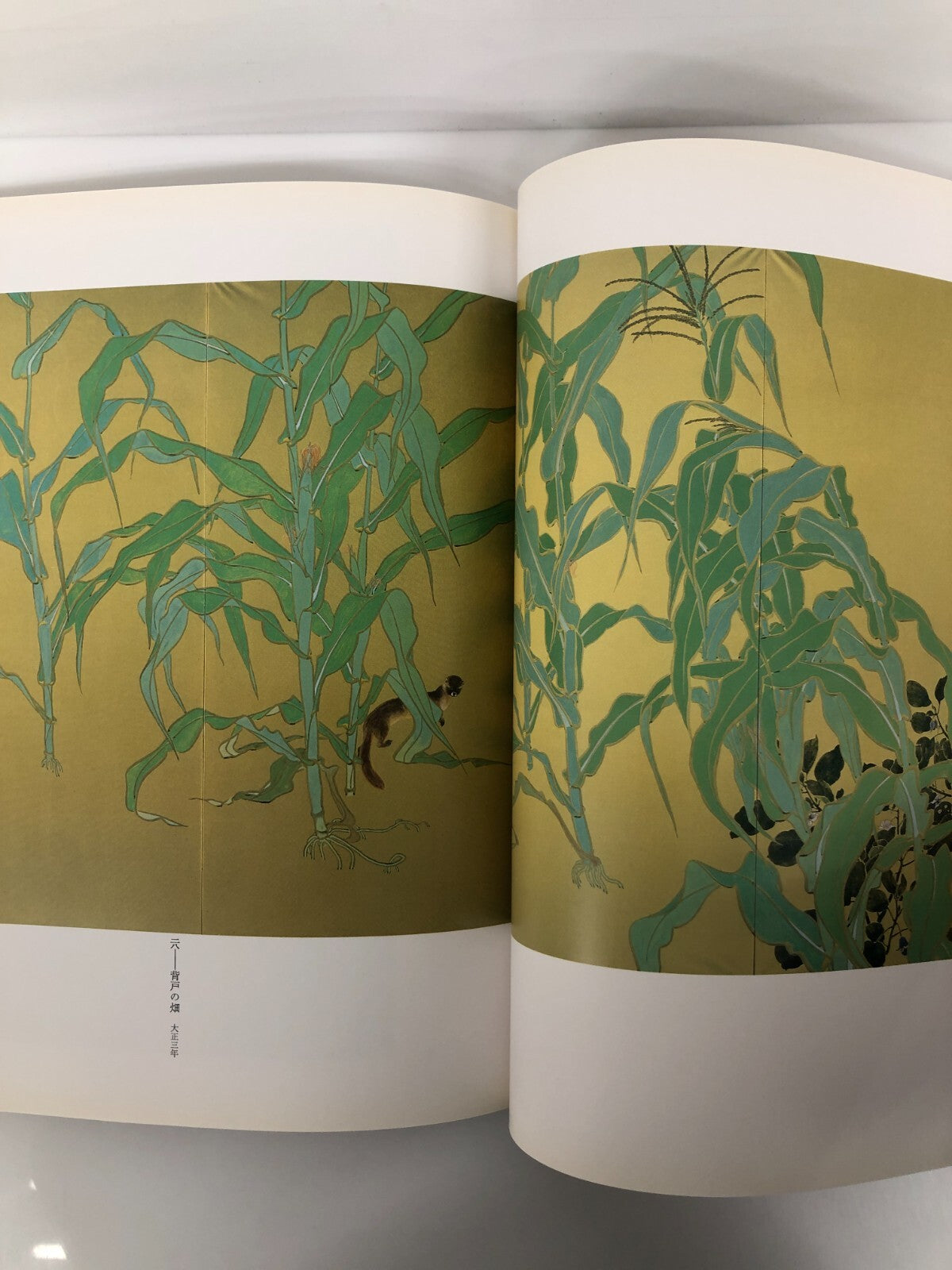 Image #5