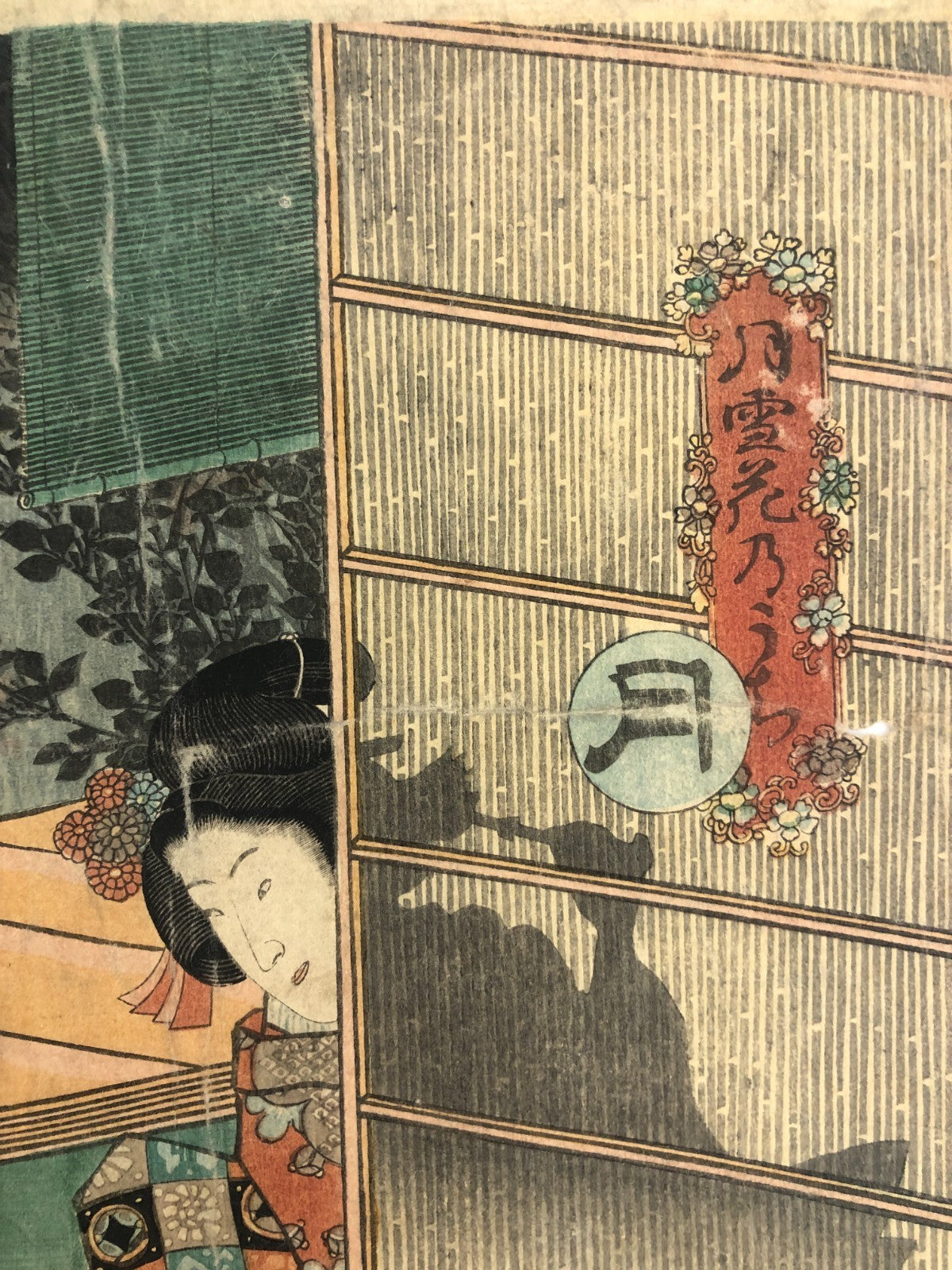 Image #12
