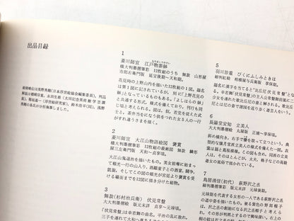 Image #12
