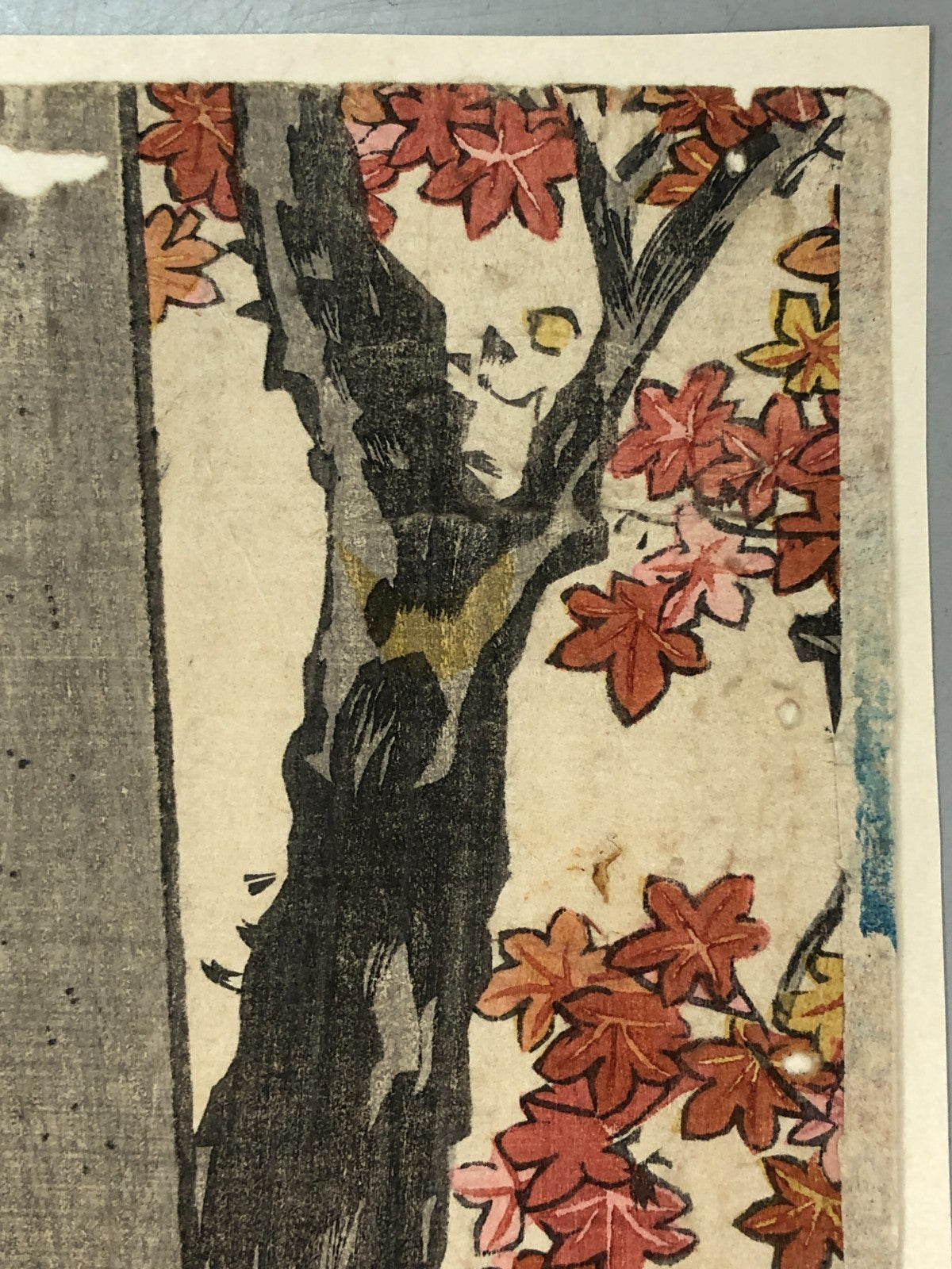 Image #12