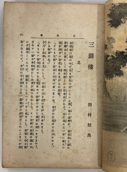 Image #11