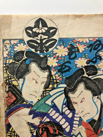 Image #14