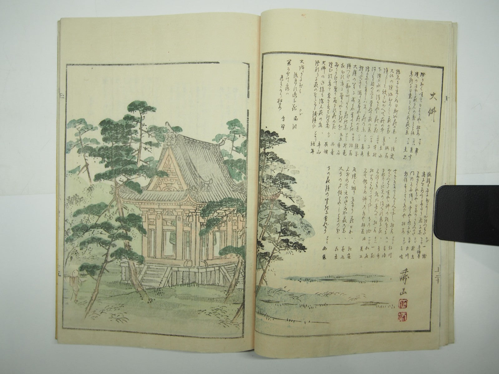 Image #19