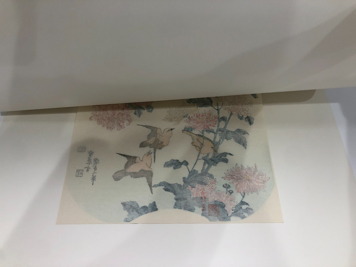 Image #6