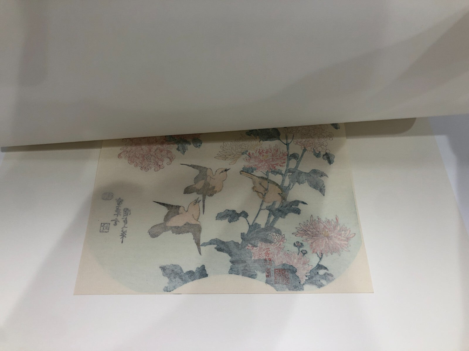 Image #6