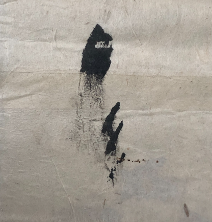 Image #10