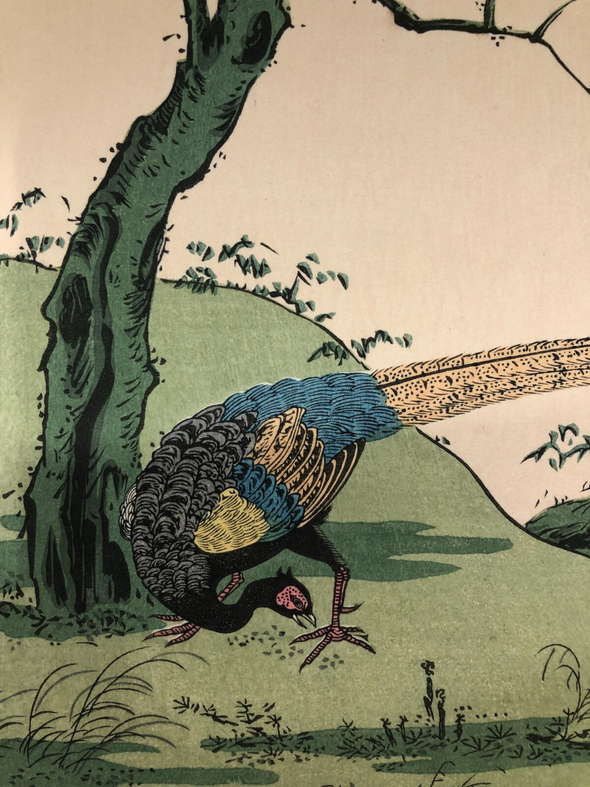 Image #5