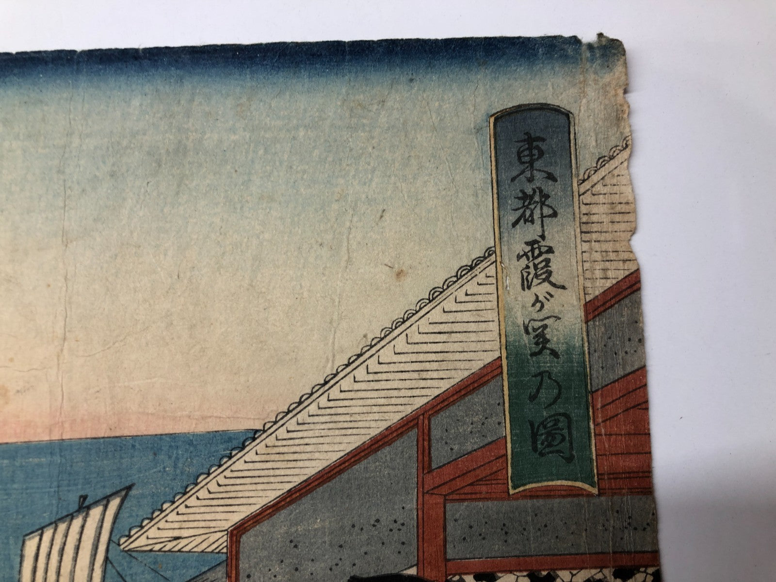 Image #12