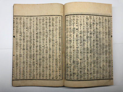 Image #12