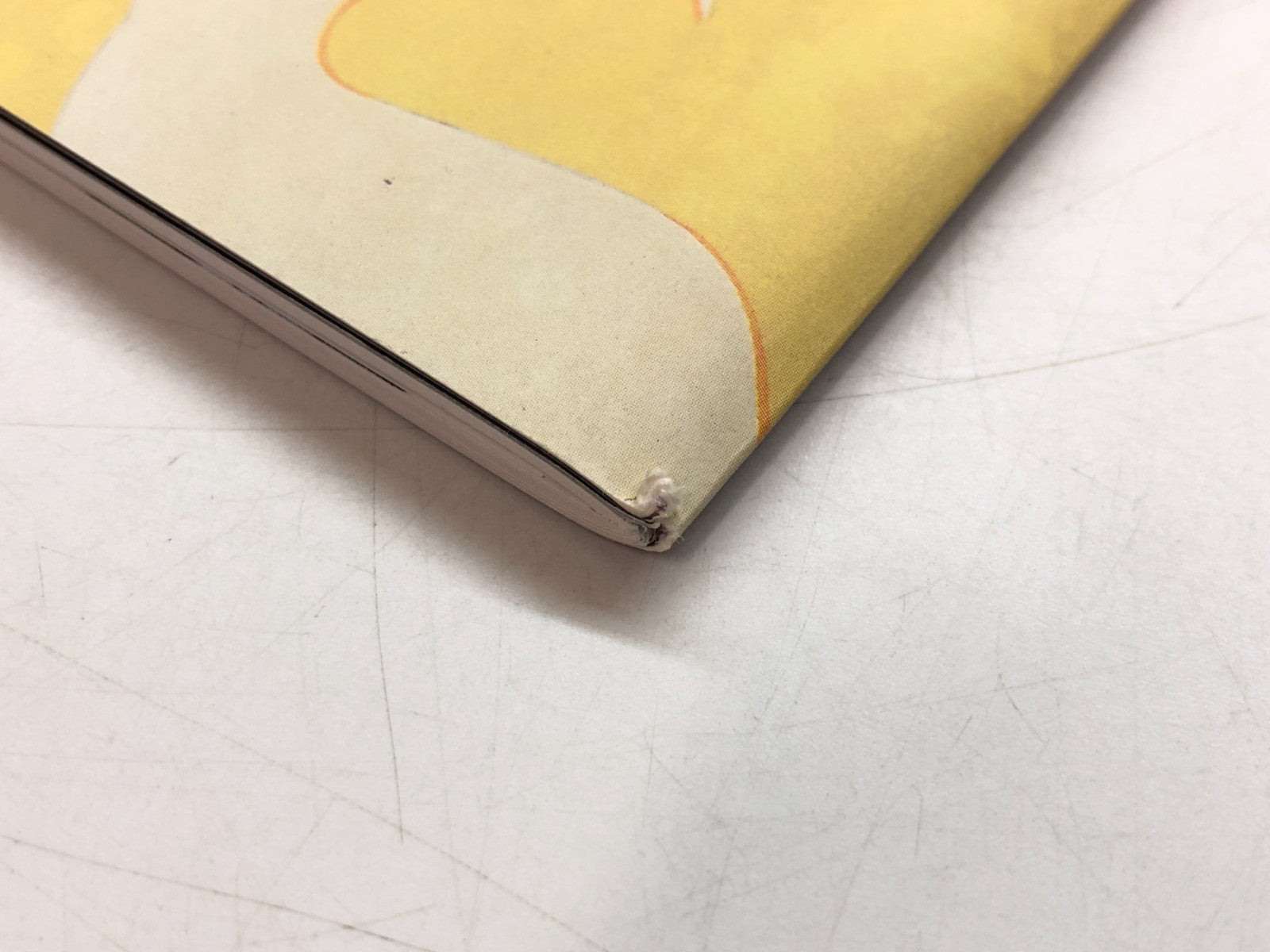Image #8