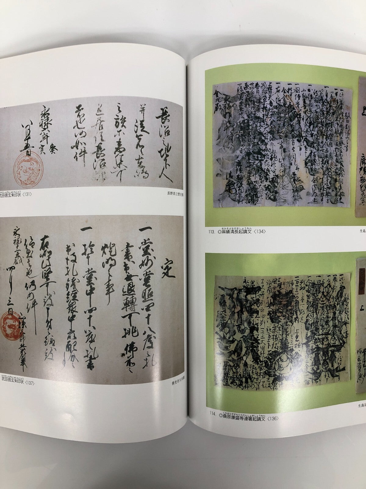 Image #5