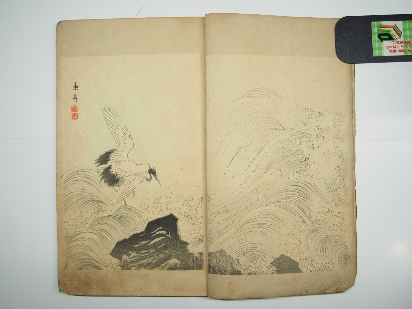 Image #6