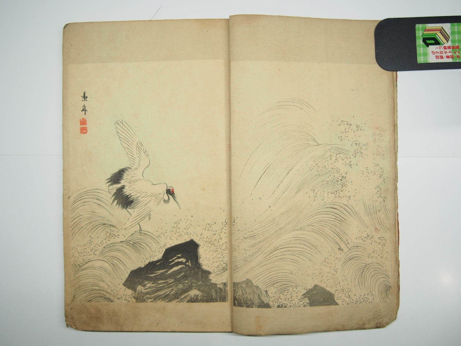 Image #6