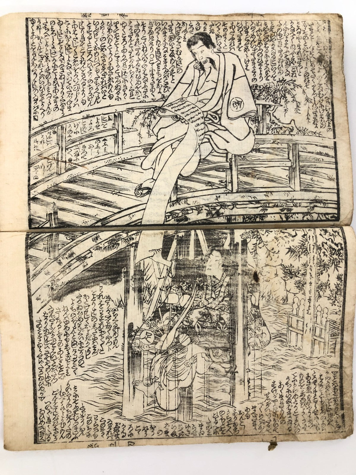Image #12