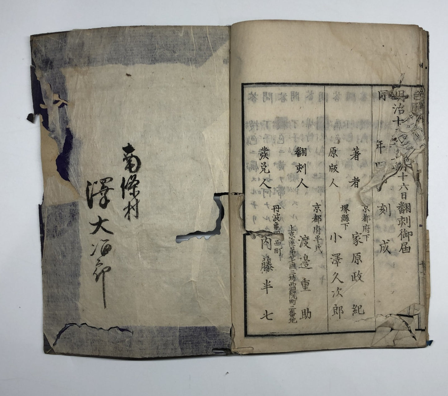 Image #12