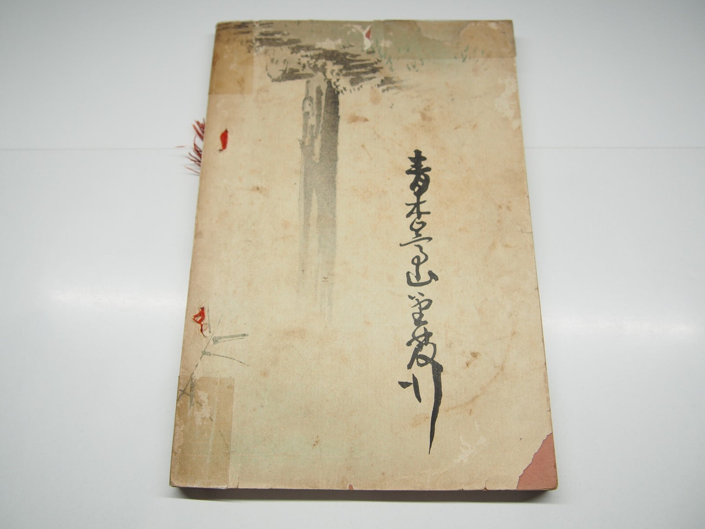 Image #10