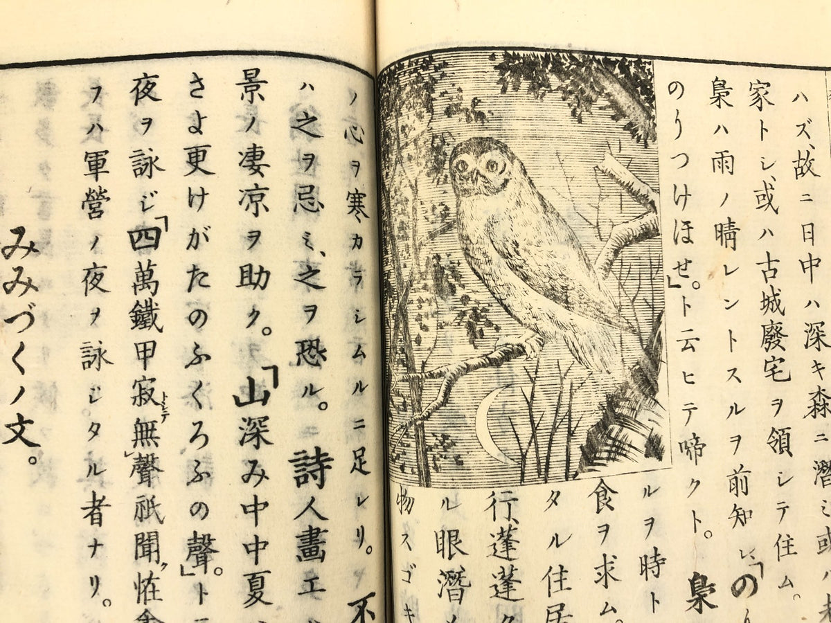 Image #11