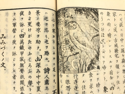 Image #11