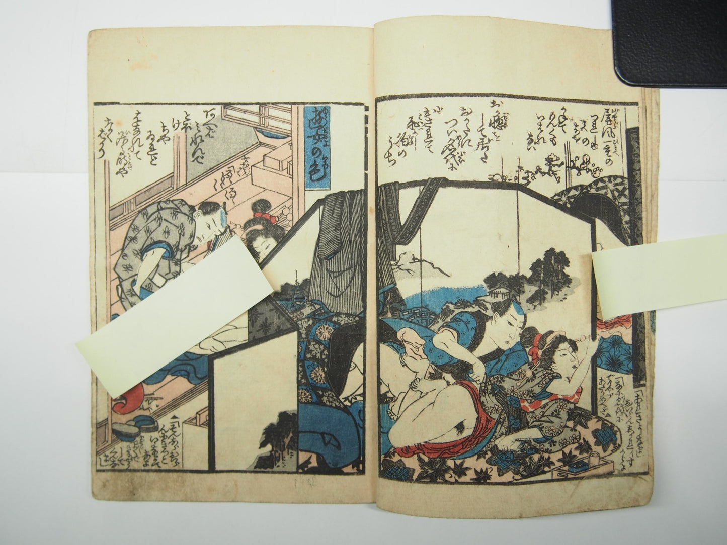 Image #7