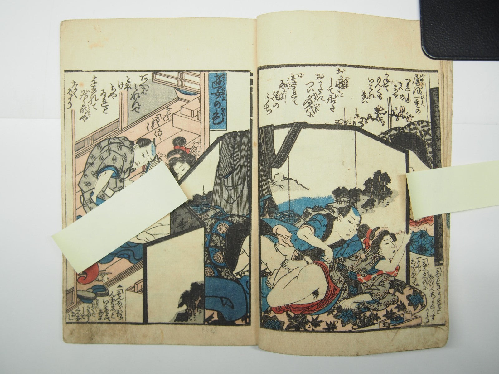 Image #7
