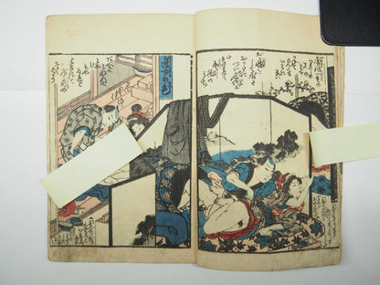 Image #7