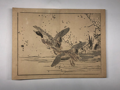 Image #20