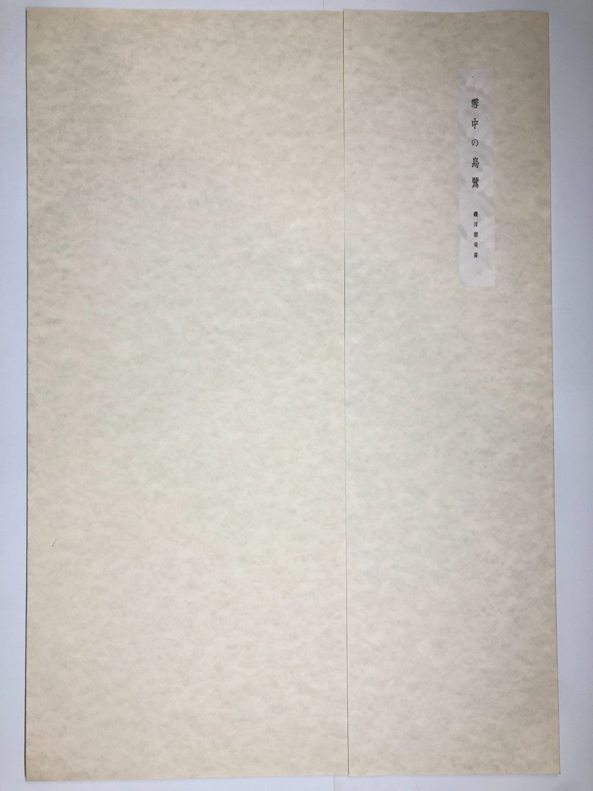 Image #2