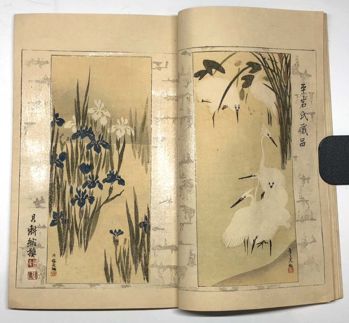 Image #12