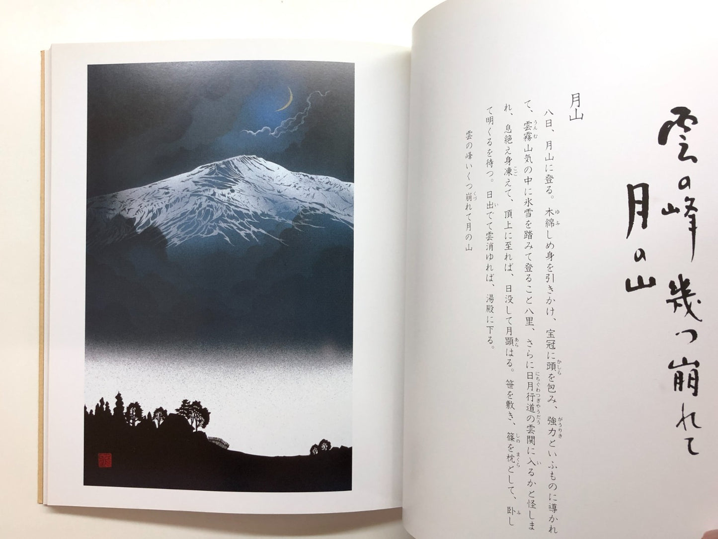 Image #7
