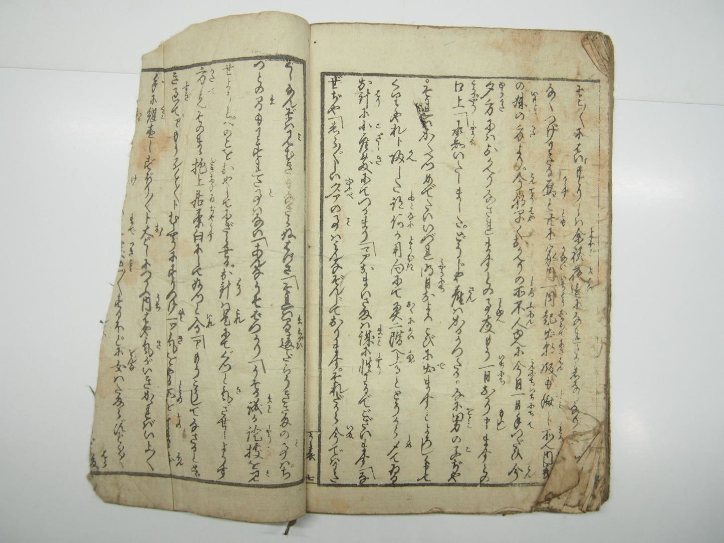Image #12