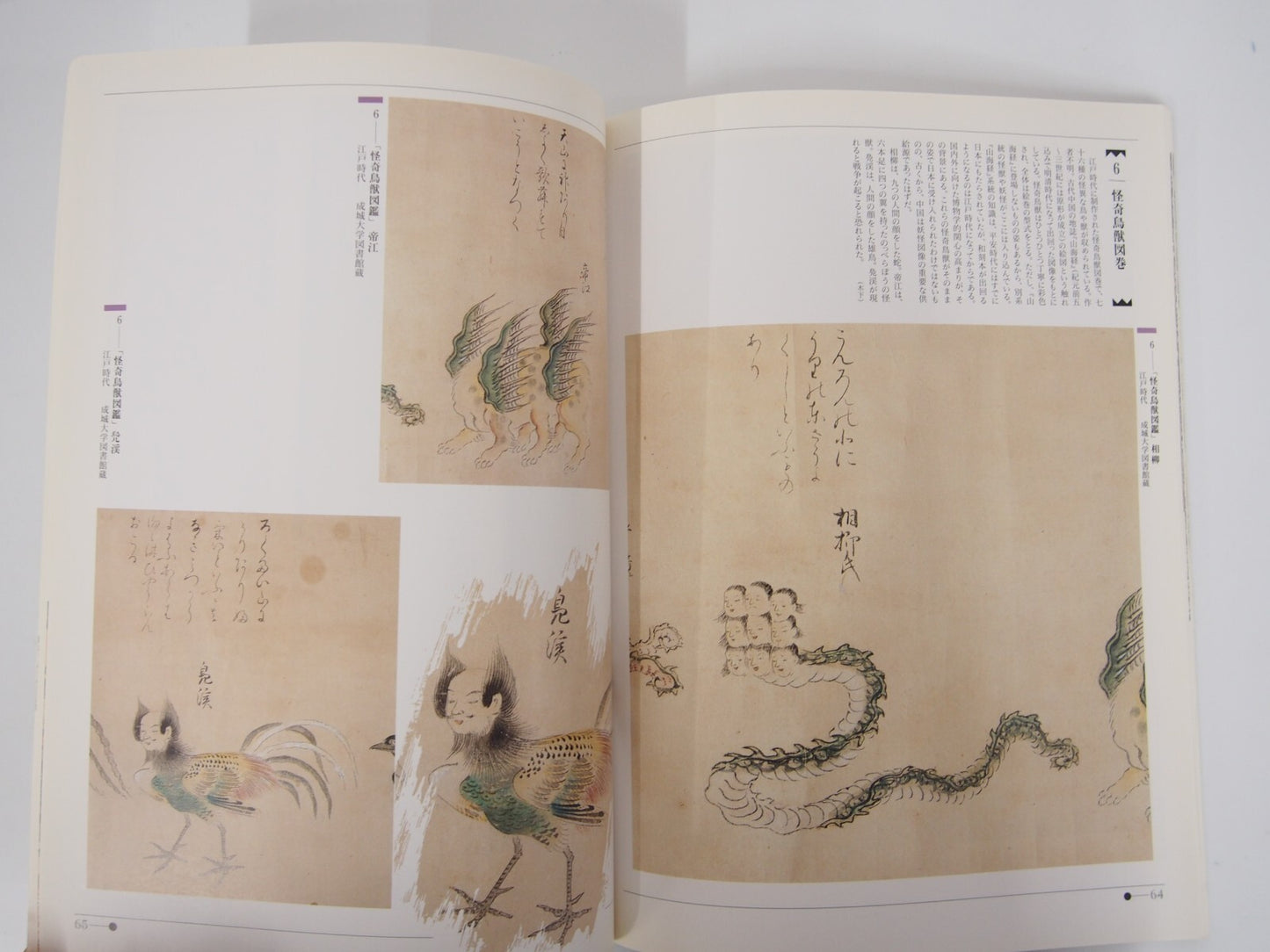 Image #5