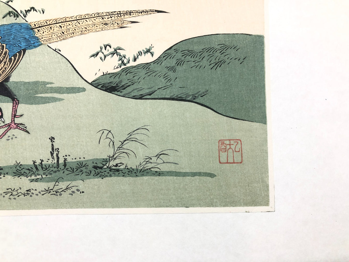 Image #8