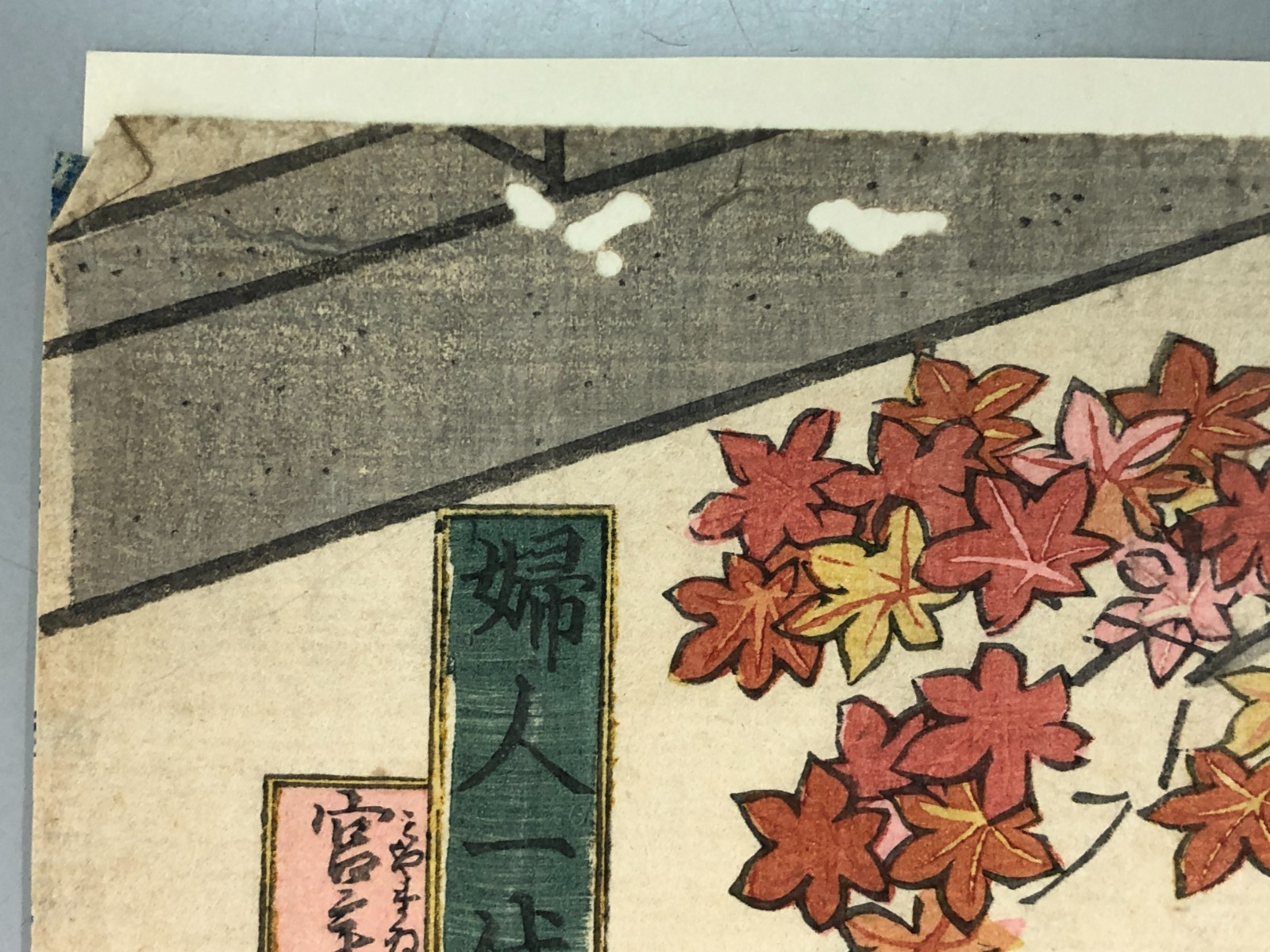 Image #14