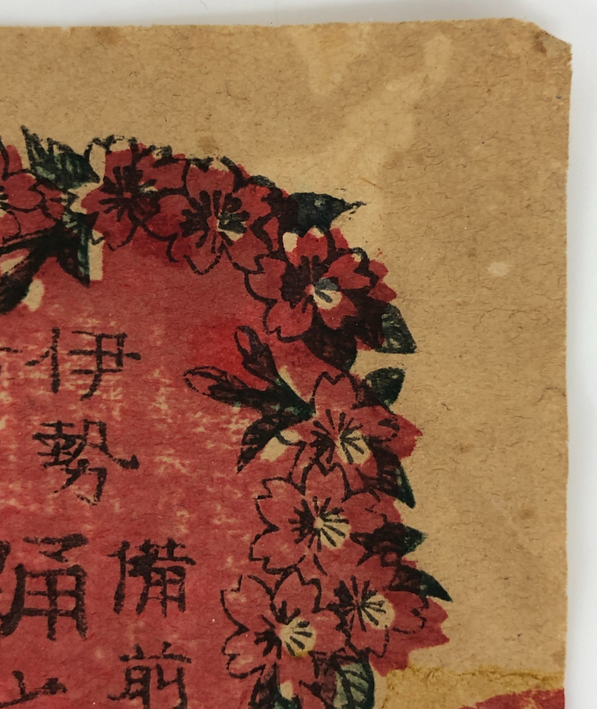 Image #11