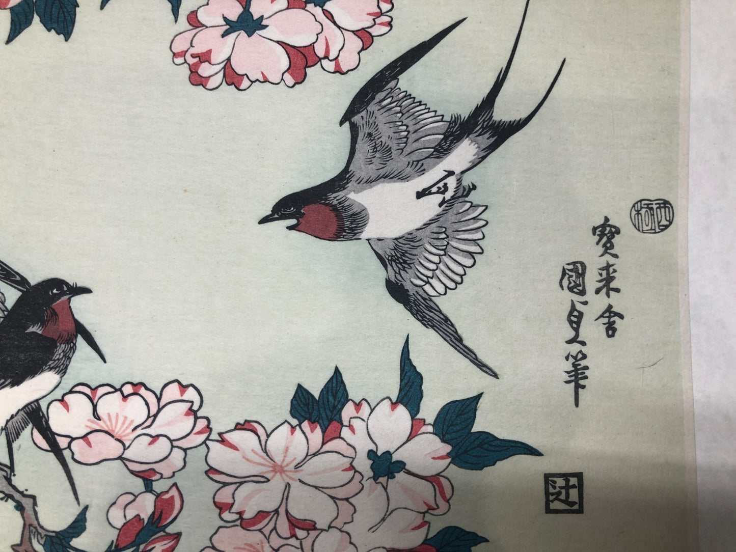 Image #8