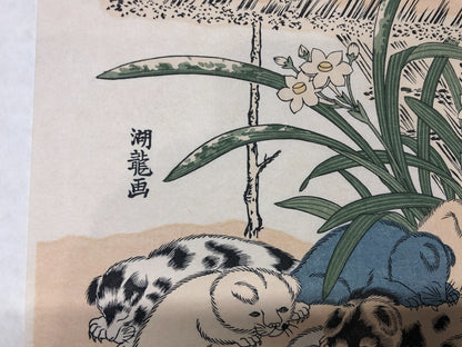 Image #8