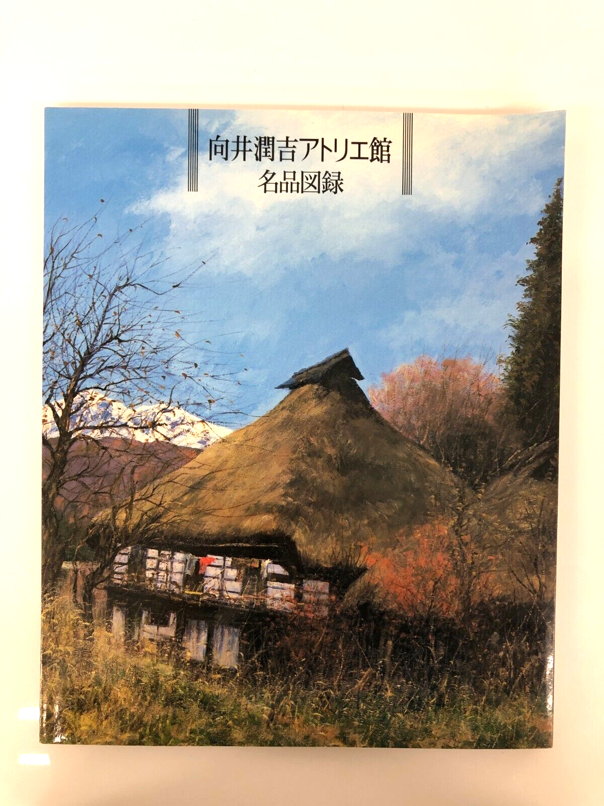 Image #1