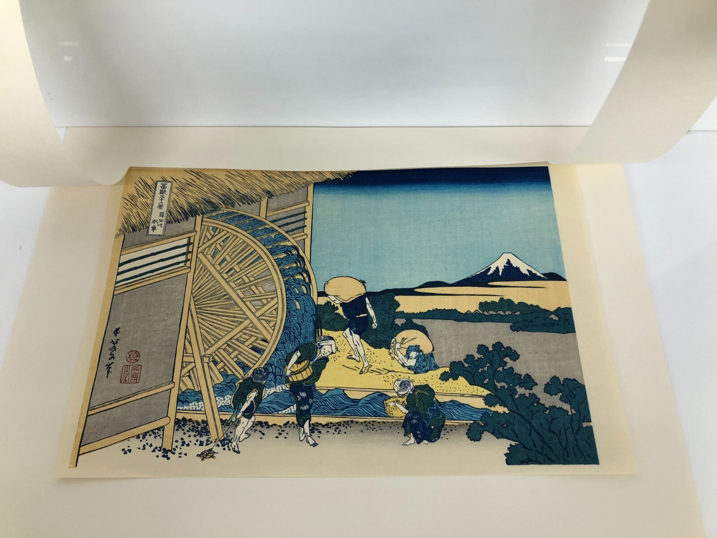 Image #2