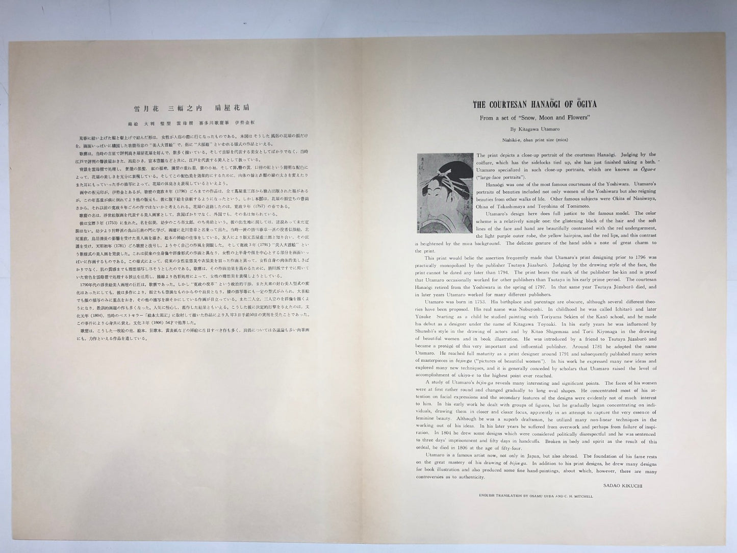 Image #12
