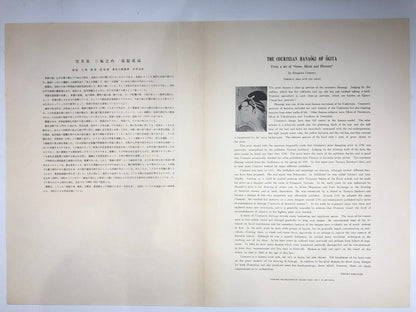 Image #12