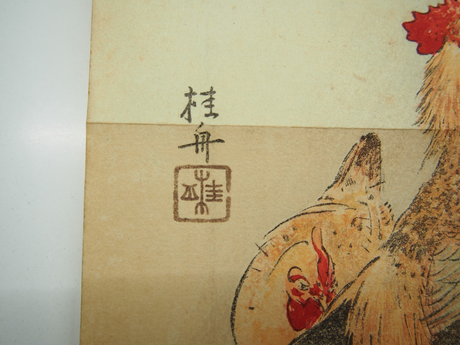 Image #5